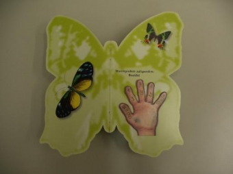 蝶ちょうの形のカタログ