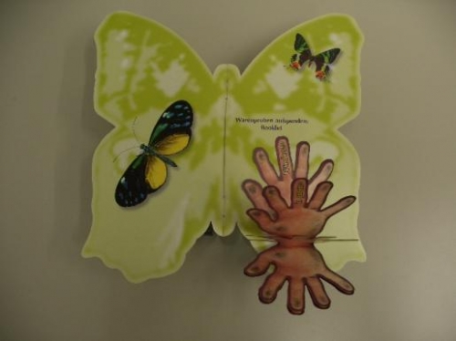 蝶ちょうの形のカタログ