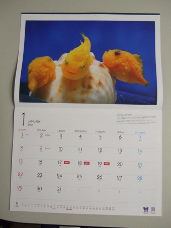 ��3�ž夬�����֤�